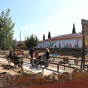 Bunnyland, February 2016