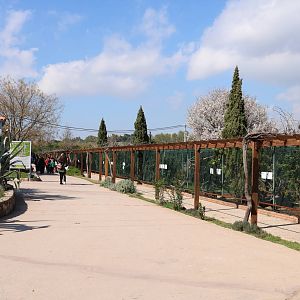 Aviaries, February 2016