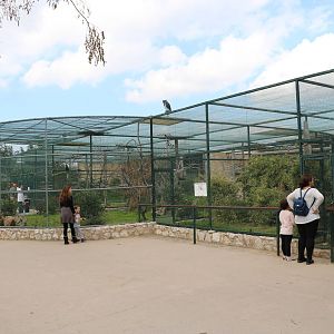 Hornbill aviaries, February 2016