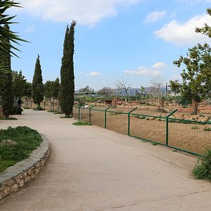Hoofstock paddock, February 2016