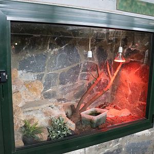 Typical reptile vivarium, February 2016