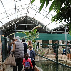 Inside the reptile house, February 2016