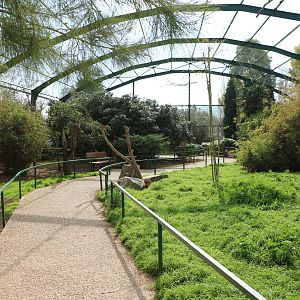 Asian aviary, February 2016
