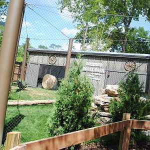 Columbus 2016 - New Puma Exhibit - Abandoned Horse Rental Theme