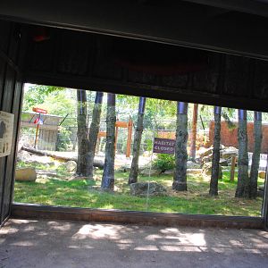 Columbus 2016 - New Black Bear Exhibit