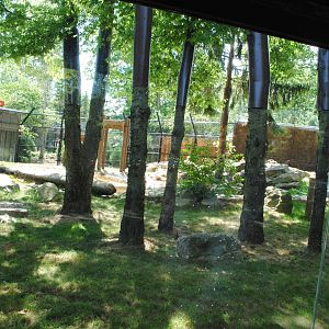 Columbus 2016 - New Black Bear Exhibit - Kayak Rental Theme