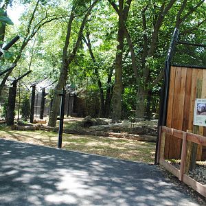 Columbus Zoo - July 16 2016 - Updated Otter Exhibit