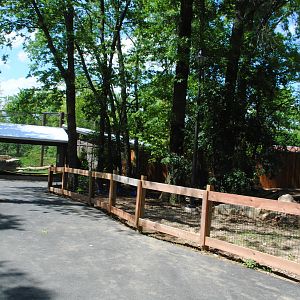 Columbus 2016 - Walk up to new Puma Exhibit/Decorative  Side Yard