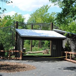 Columbus 2016 - New Puma Exhibit - Right Viewing