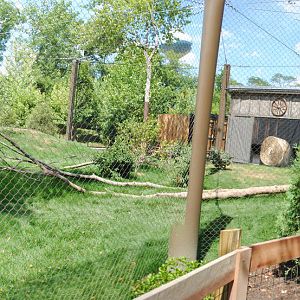 Columbus 2016 - New Puma Exhibit - Right Side