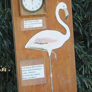 Contest-clock - how long can you stand on one leg