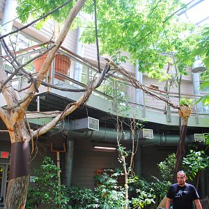 Slow Moes Exhibit Expansion