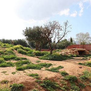 Part of the brown bear enclosure, February 2016
