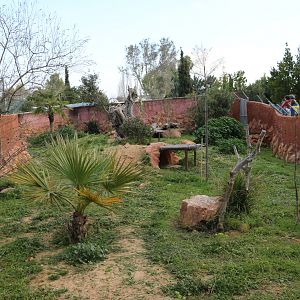 Komodo dragon enclosure, February 2016