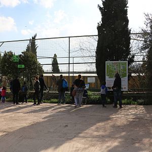 Griffon vulture aviary, February 2016