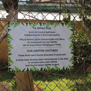 Griffon vulture sign, February 2016