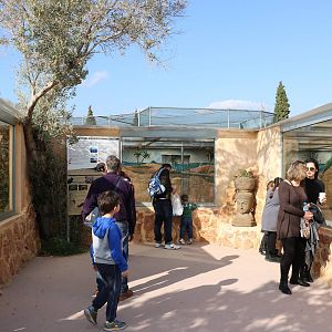 Large reptile viewing area, February 2016