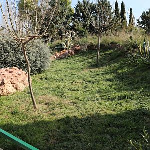 Tortoise enclosure, February 2016