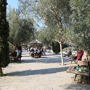 Picnic area, February 2016