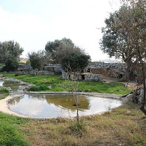 Penguin enclosure, February 2016
