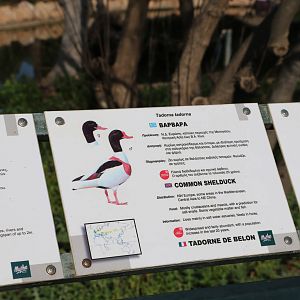 Shelduck sign, February 2016