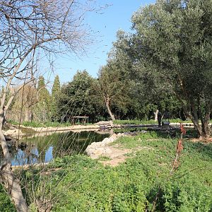 Waterbird enclosure & pool, February 2016