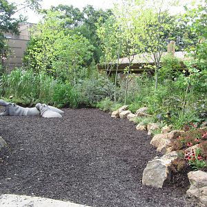 Hippo Cove Play Area