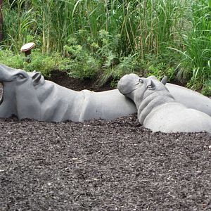 Hippo Statues