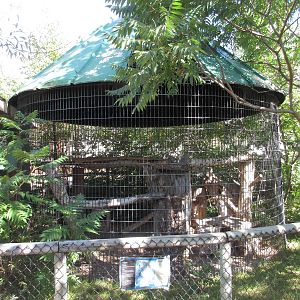 North American Porcupine Exhibit