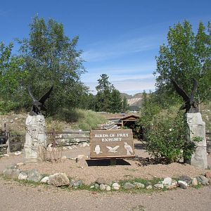 Birds of Prey Complex