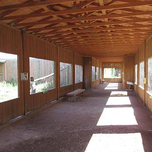 Birds of Prey Complex