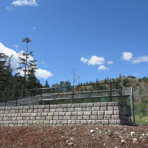2.7 Acre Kermode Bear Exhibit - Viewing Platform