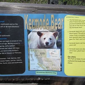 2.7 Acre Kermode Bear Exhibit - Sign