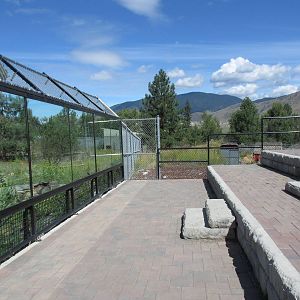 2.7 Acre Kermode Bear Exhibit - Viewing Platform