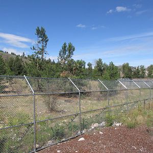 2.7 Acre Kermode Bear Exhibit (the only captive specimen on the planet)