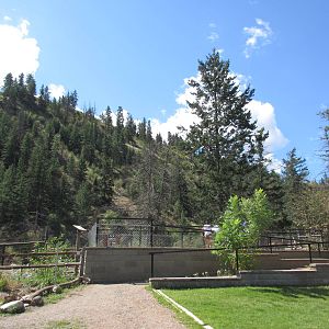 Multi-Acre Elk Exhibit - Viewing Platform
