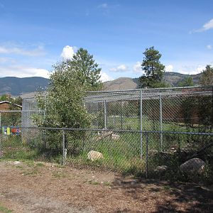 American Badger Exhibit