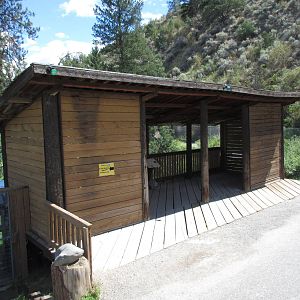 Coyote Exhibit - Viewing Platform
