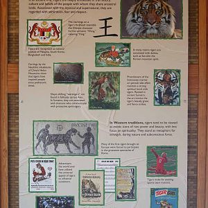 tiger exhibit graphics