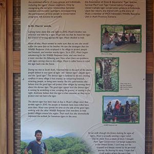 tiger exhibit graphics