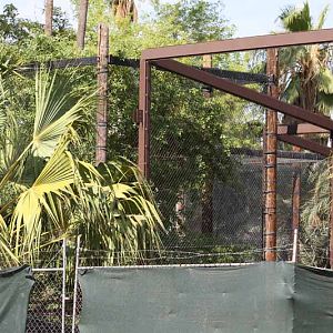 jaguar exhibit construction