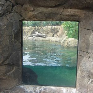 View of First Viewing Window