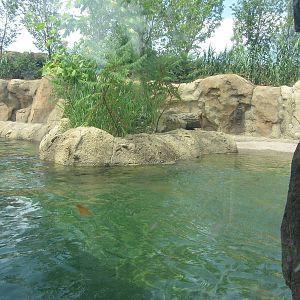 View from First Viewing Window