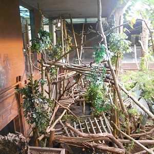 New platforms, 9th July 2016