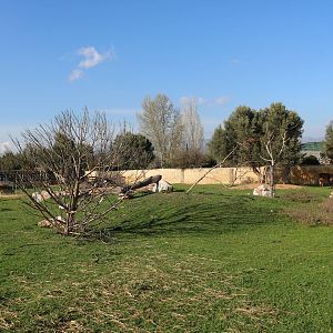 Sitatunga enclosure, February 2016