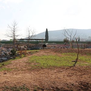 Part of the savannah complex, February 2016