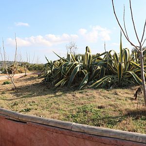 Prairie dog enclosure, February 2016