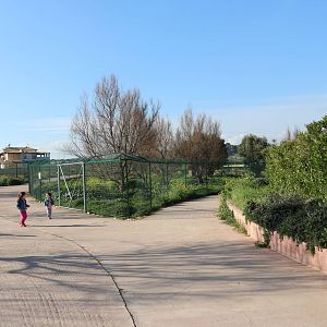 Cheetah enclosures, February 2016