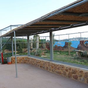 Puma viewing area, February 2016