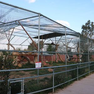 Jaguar enclosure, February 2016